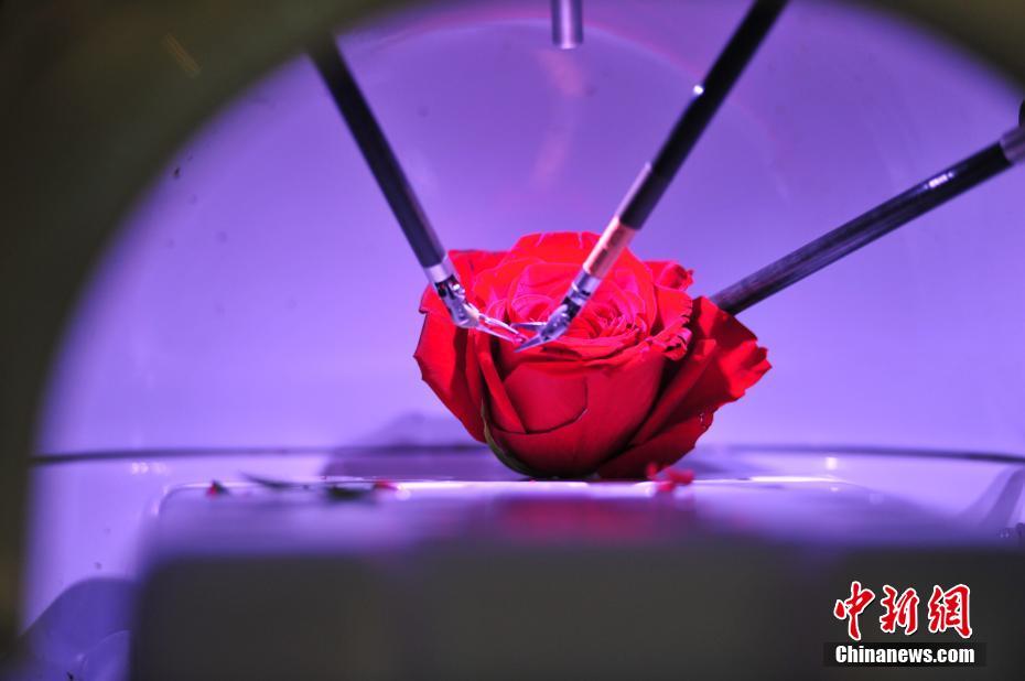 ????? ?????? ?? ??????? ??????? ?????? ???? ?? ????? ????? ????? 2019