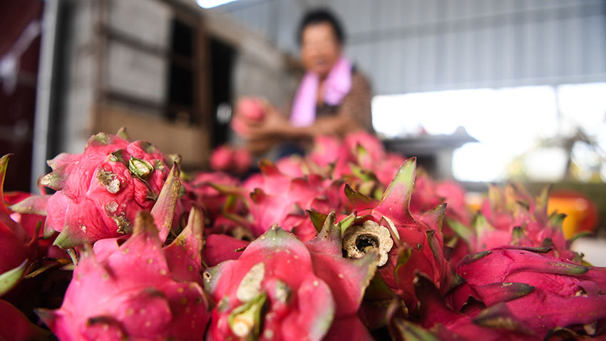 ??????: ????? ?????? ???? 