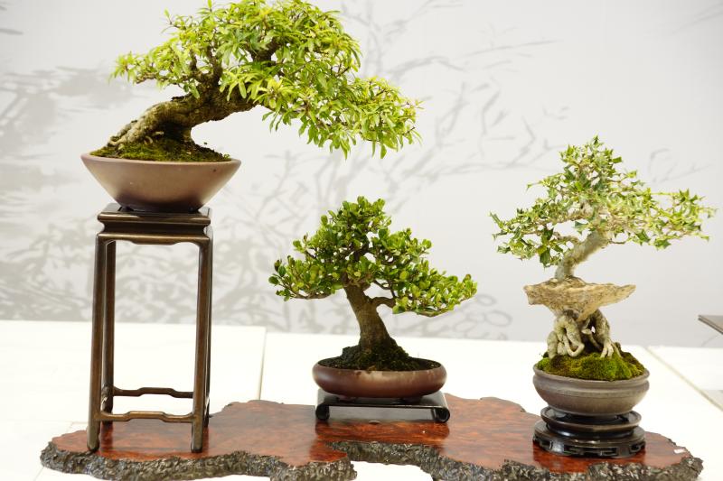 ??? ???? ?? 400 ???? ???? ?? ???? ???? ?????? ???????