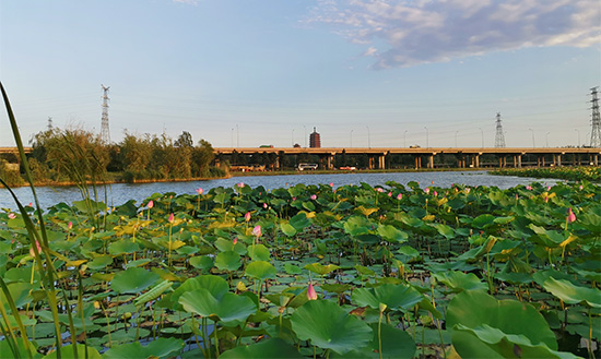 ??????? ????????? ??????? ?????? ?? ???? 51400 ?????