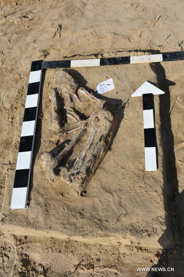 ?????? ????? ?????? ??????? ???? ???? ?? ??? ??????? ?? ???