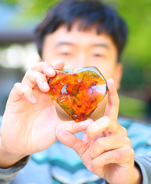 ???? ??? ?? ??????  .. ????? ?????? ??????? ???? ?????? ??????? ????? ????? ????