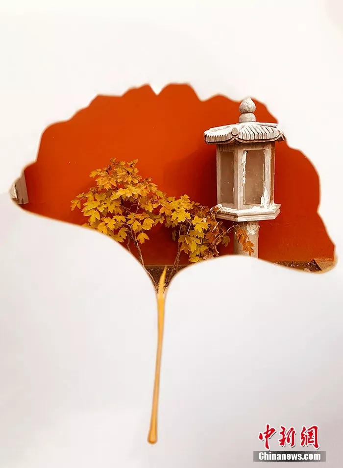 ??? ??????: ??????? ???????? ??????? ???? ???? A4