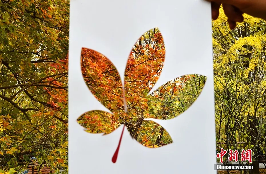 ??? ??????: ??????? ???????? ??????? ???? ???? A4