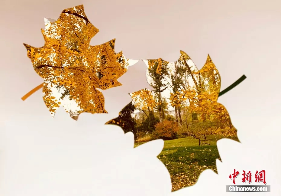 ??? ??????: ??????? ???????? ??????? ???? ???? A4