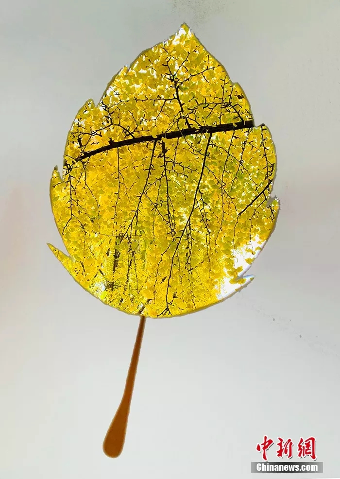 ??? ??????: ??????? ???????? ??????? ???? ???? A4