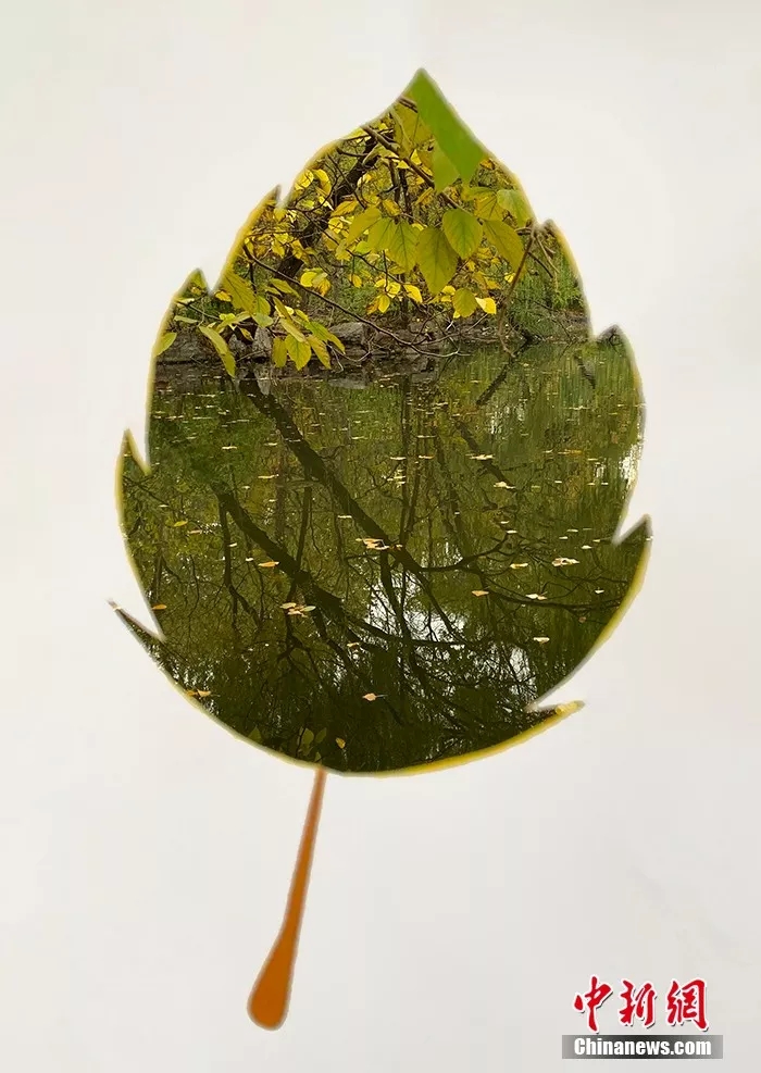 ??? ??????: ??????? ???????? ??????? ???? ???? A4