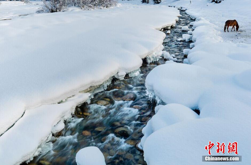 ???? ???? ?? ???????? ????? ?????? ?????? ??? ???? ?????