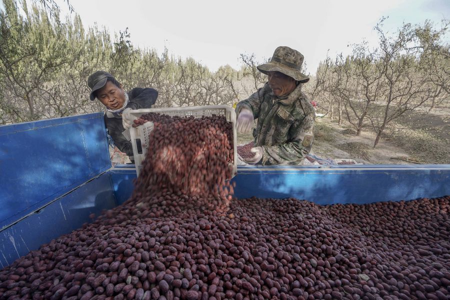 ????? ???? ????? ??? ?????? ?????? ??????? ????? ???? ?????