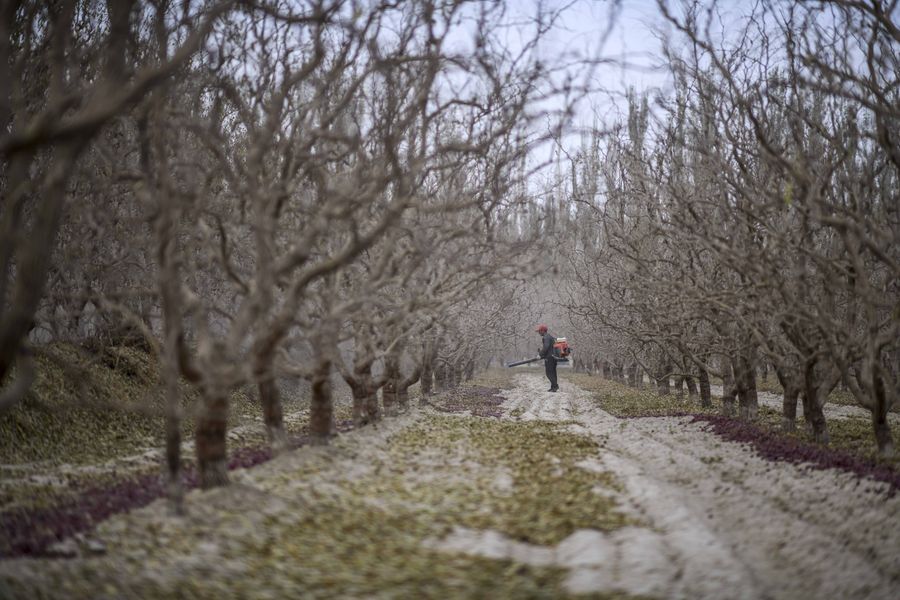 ????? ???? ????? ??? ?????? ?????? ??????? ????? ???? ?????