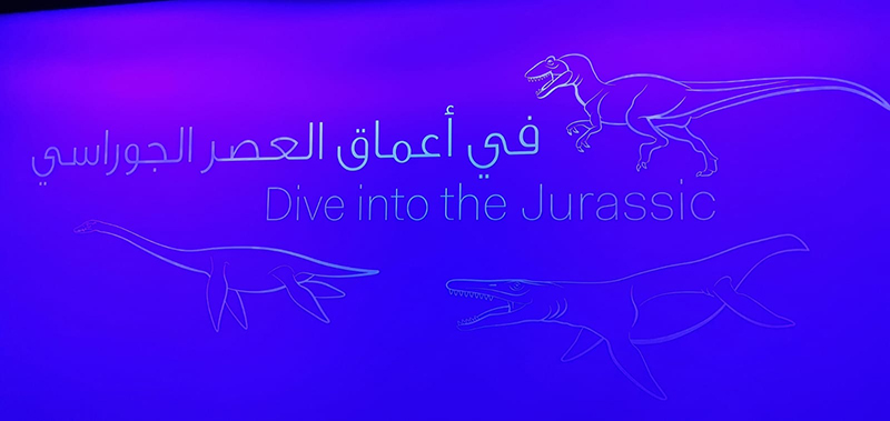 ????? ??????: ??????? ????? ?????? ?????? ??? 48 ?????? ?? 