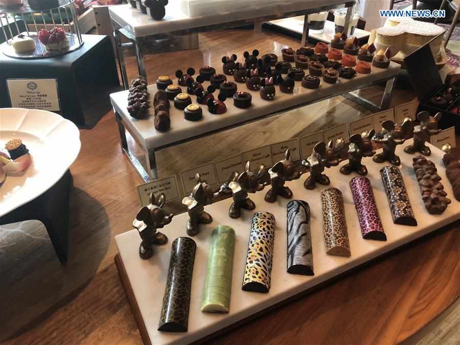 ????? ???? ???? ???? ????? ??? ?????? ?? ?????? ?? ???? ????? ????? ?????