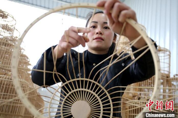 ?????: ??????? ??????????? ???? ????? ???????? ?????? ?? ?????