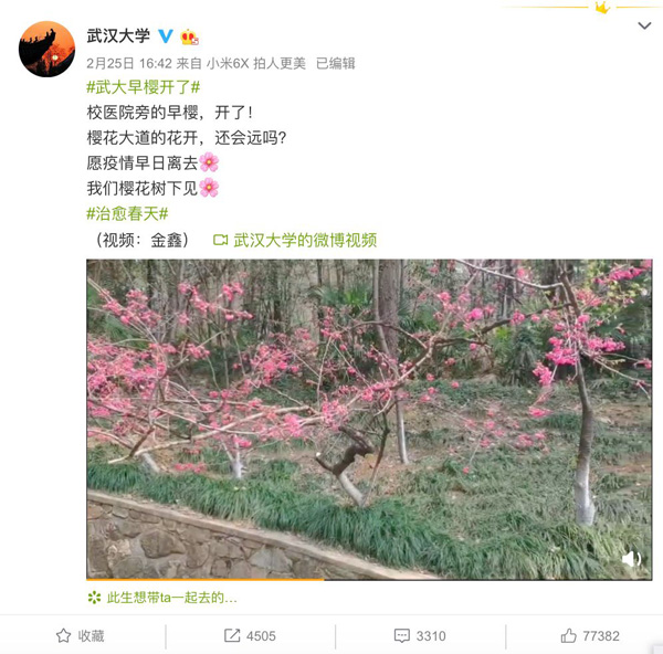 ?????? ????? ????? ?? ????? ?????? 