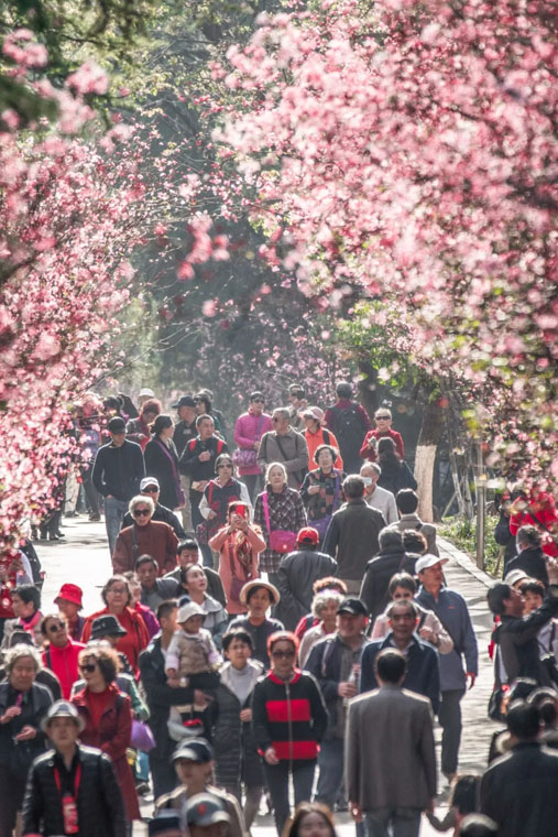 ???? ?? ???? ??????? ???????? ?? ???? ????? ?????