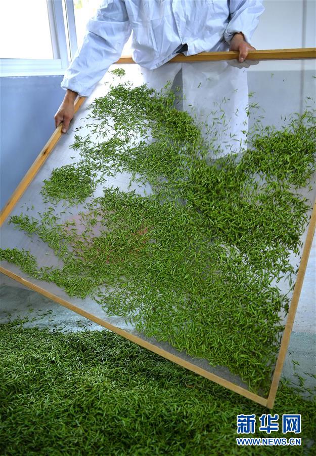 ???? ????? ???? ???? ???? ?????? ?????? ?????