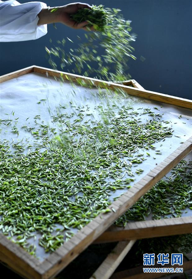 ???? ????? ???? ???? ???? ?????? ?????? ?????