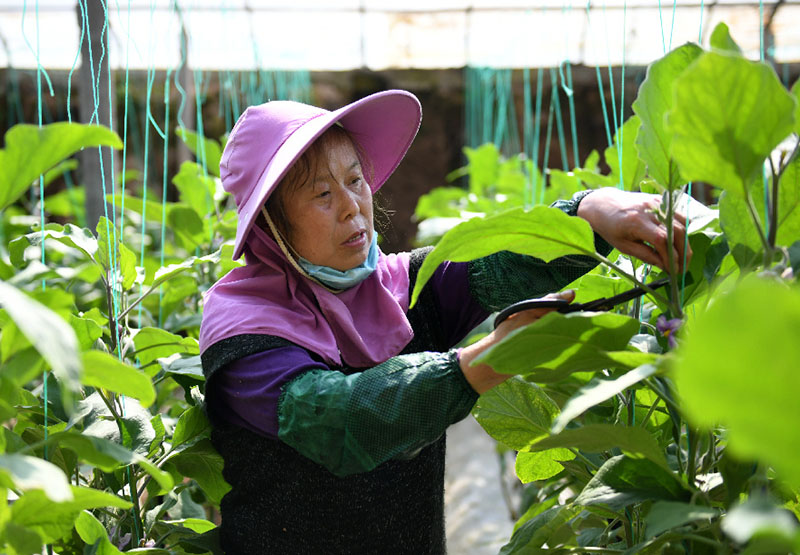 ???? ????? ?? ?????: ????? ?? ??????? ????? ???? ???? ???? ???? ???? ??????? ???????