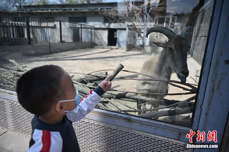 ?????  ??????? ?????  ???? ??? ??????? ??? 58 ????