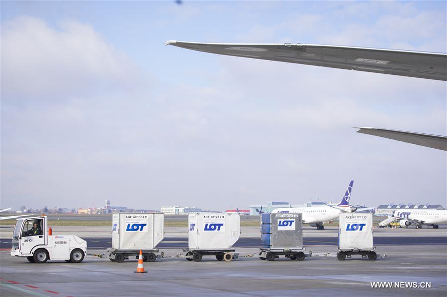 ?????? ????? ??????? ???? ?? ????? ??????? 