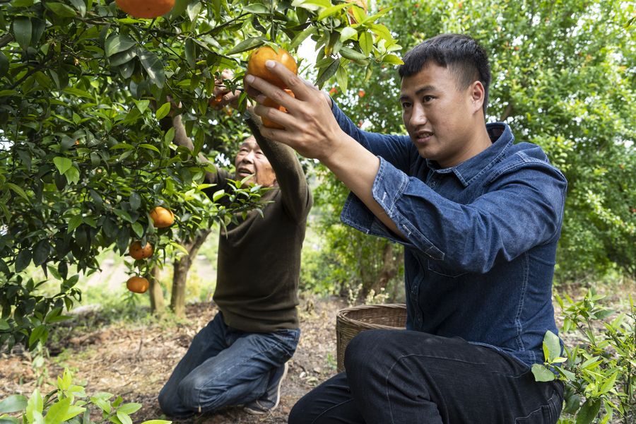 ???? ????? ???? ???? ??????? ??? ?? ????? ??????? ?????? ?? ?????