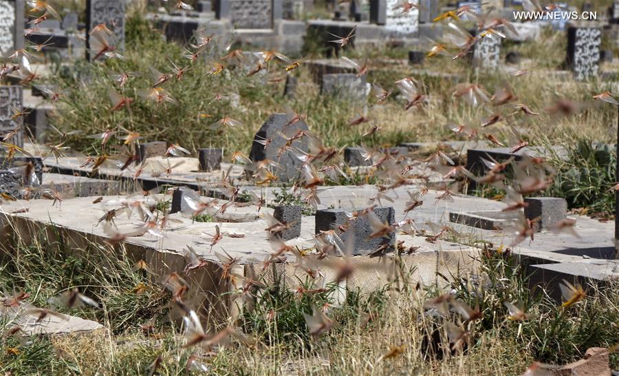 ?????? ???????? ?? ?????