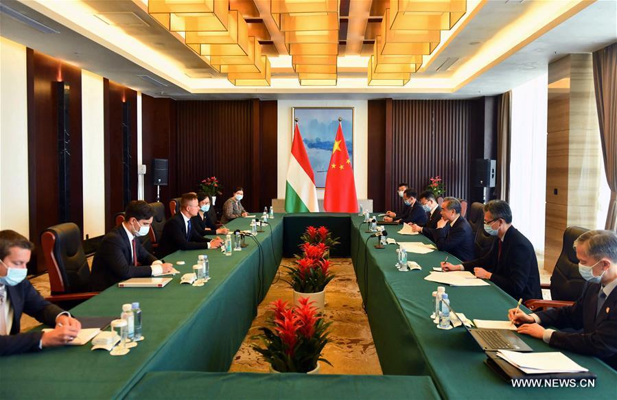 ???? ???????? ??????: ??? ??? ??????? ?????? ??? ????? ????? ??? ?????