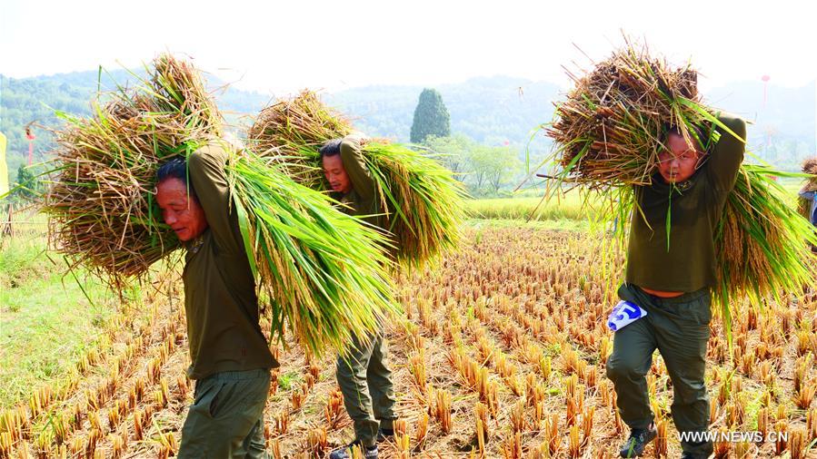 ?????? ???? ????? ???????? ??????? ??????