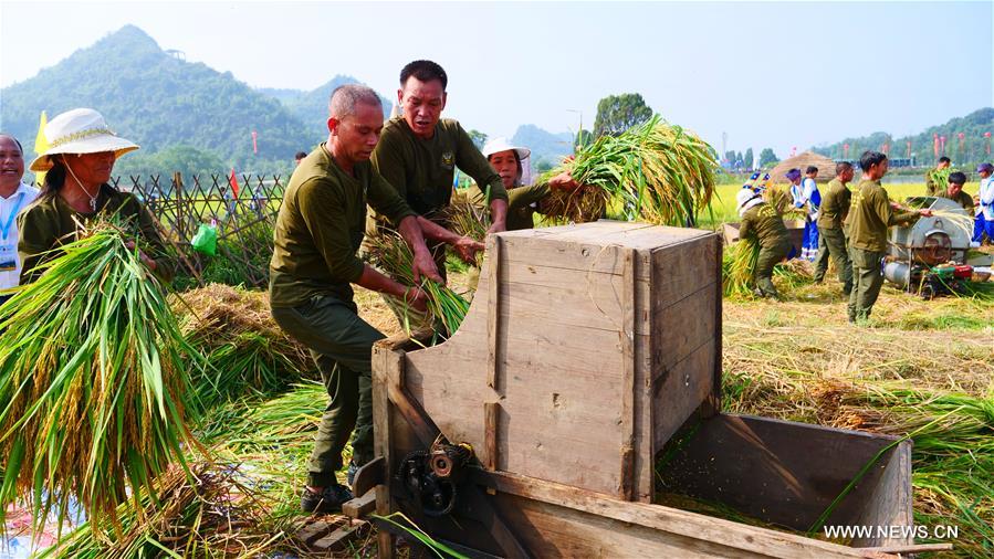 ?????? ???? ????? ???????? ??????? ??????