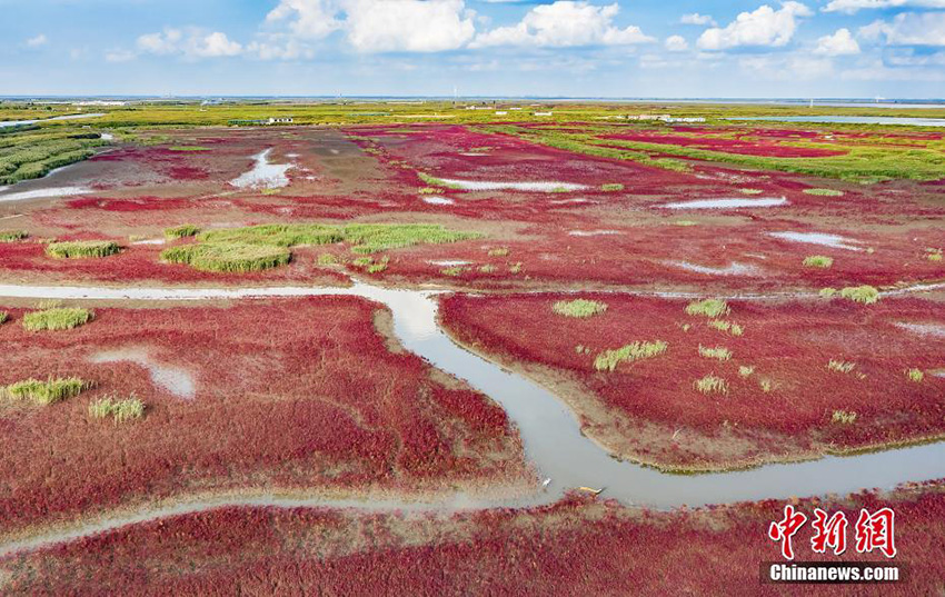 ??? ?????? ... ????? ?????? ?????? ???? ???? ?????? ? ????????