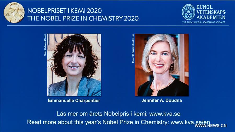 ????? ?? ??????? ???????? ????? ???? 2020 ?? ????????