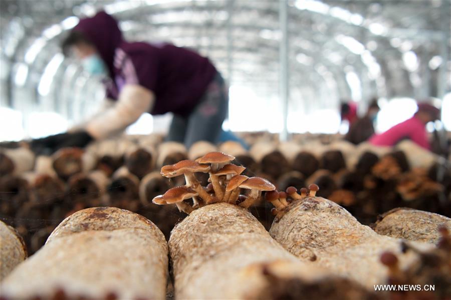 ???? ????? ????? ????? ??? ??????? ?? ??? ????? ?? ???? ???? ?????