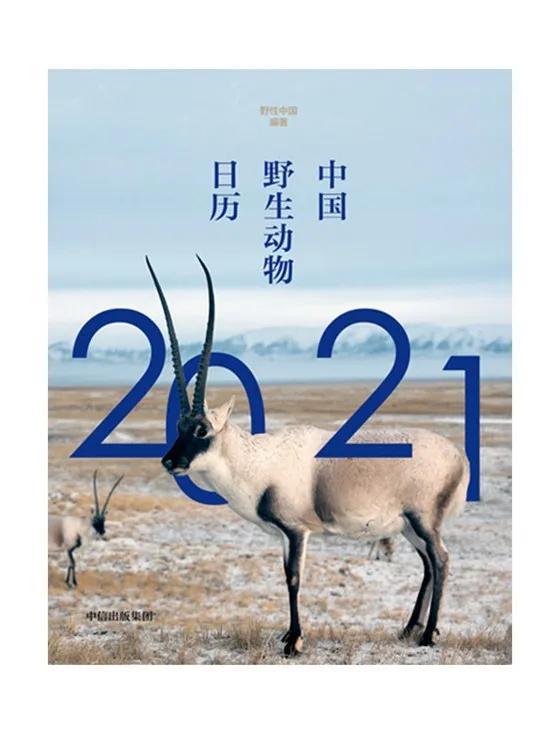 ???????? ?????? ??? ???? ??????? ??? 2021 ??? ????? ??? 2020