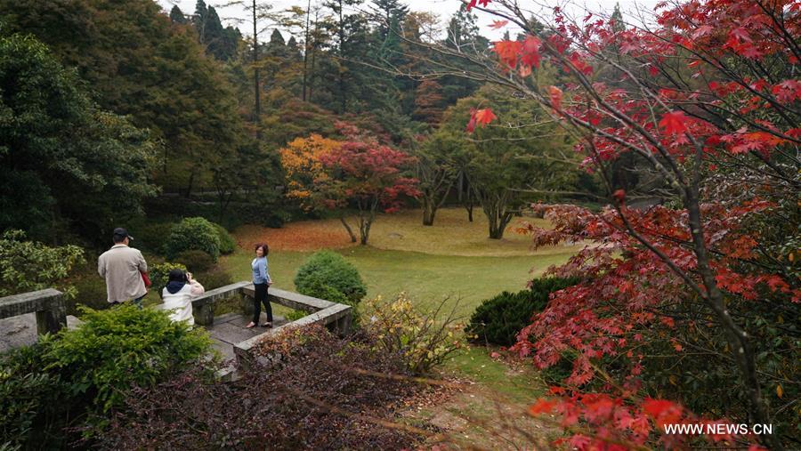 ????? ?????? ?? ??? ????? ?? ???? ?????