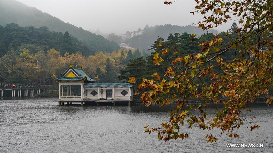 ????? ?????? ?? ??? ????? ?? ???? ?????