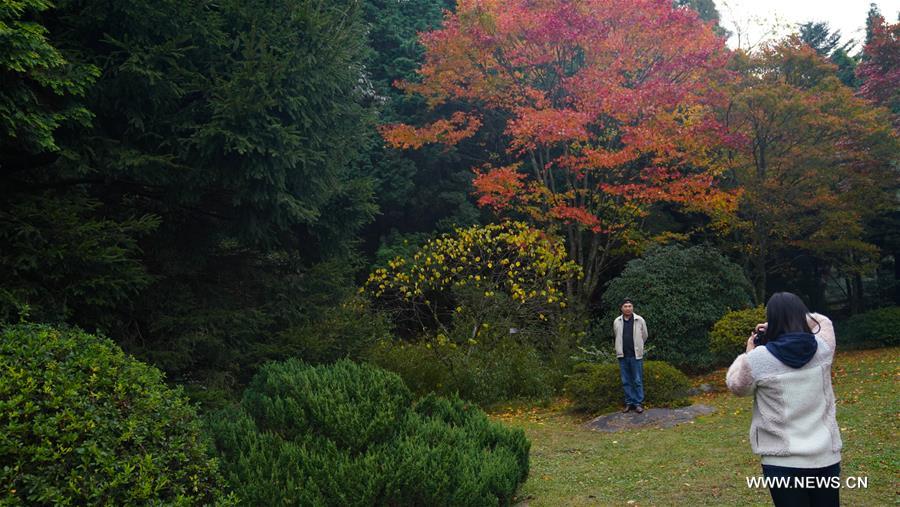 ????? ?????? ?? ??? ????? ?? ???? ?????