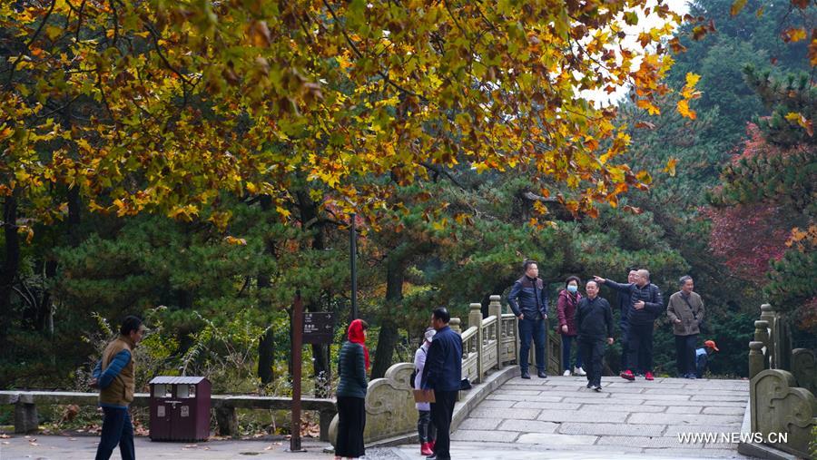 ????? ?????? ?? ??? ????? ?? ???? ?????