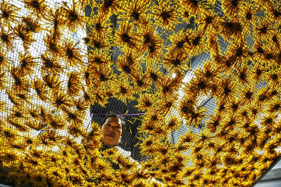 ???? ???????? ????? ??? ????? ????? ?? ???? ????? ???? ?????