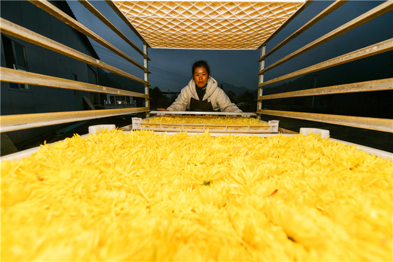 ????? ???????? ????? ???? ???? ?????? ??????? ?? ???? ?????