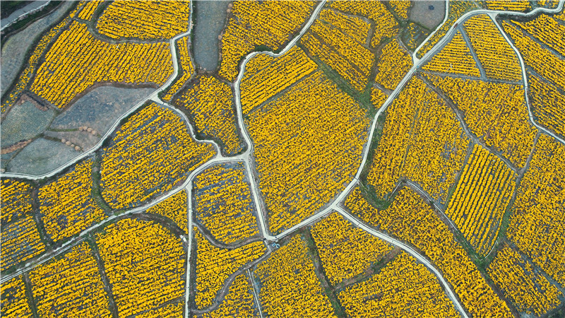 ????? ???????? ????? ???? ???? ?????? ??????? ?? ???? ?????