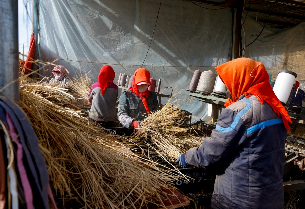 ??????? ???? ?? ????? ???????