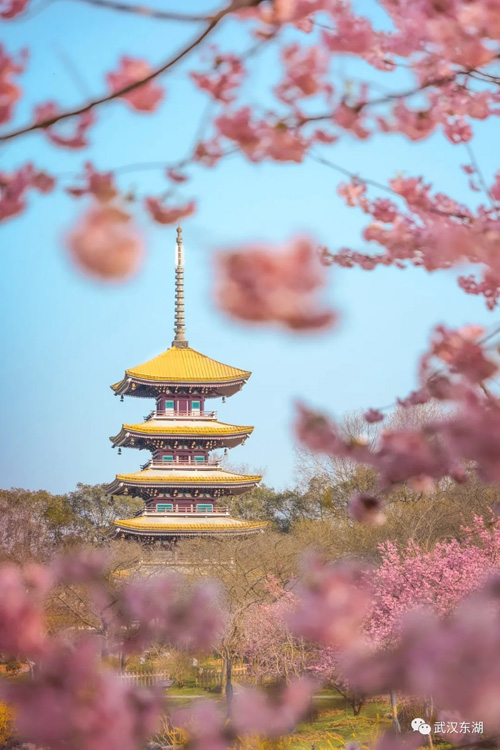 ??? ???? ????? ??????? ???? ????? ?? ????? ????? ?? ????