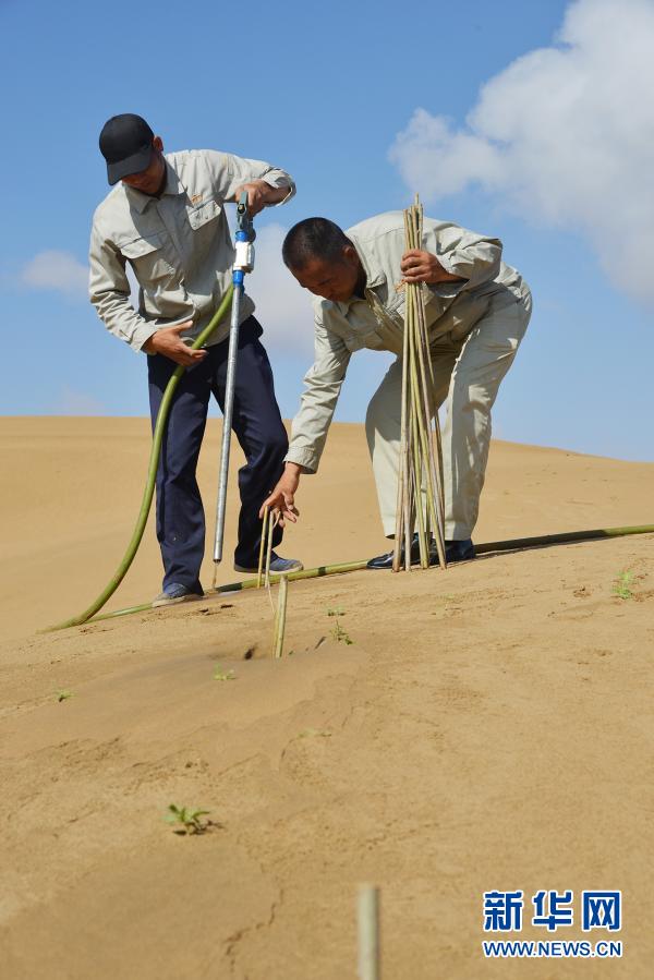 ????? ?????? ??? ????? ????? ??????? ?? ??? 2020