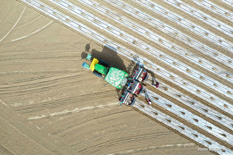 ????? ????? ?? ?????? ?????? ????????