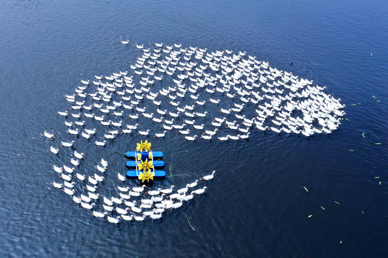 ?????? ???????: ??? ???? ??? ??????? ???? ?????? ?? ?????