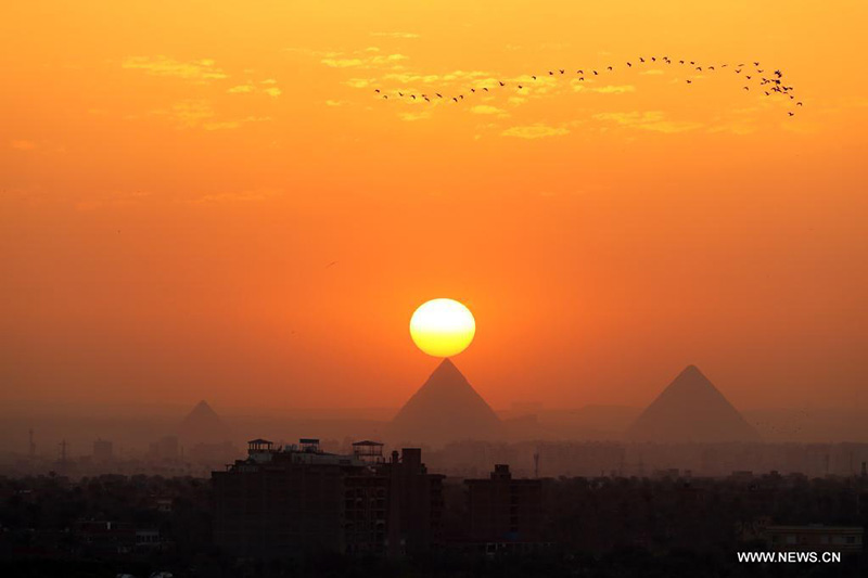 ???? ?????? ?????? ??? ??????