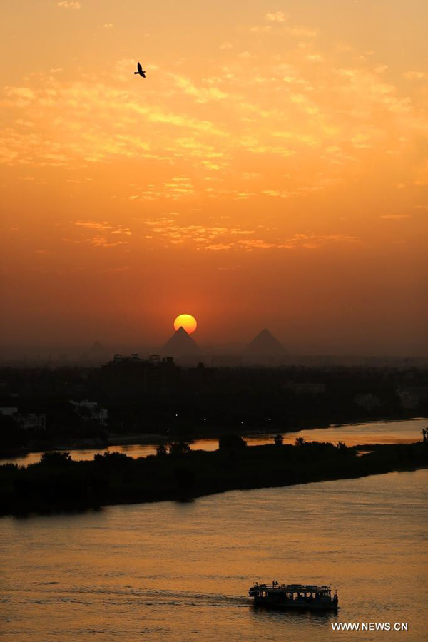 ???? ?????? ?????? ??? ??????