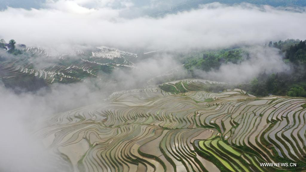 ?????? ??????? ????? ???? ?????