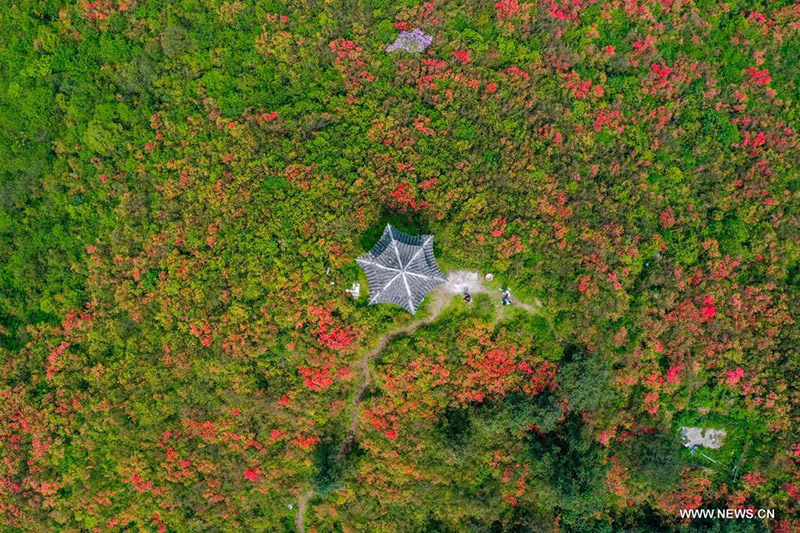 ???? ???? ???????? ?? ?????? ????? ???? ?????