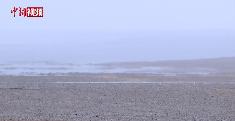 ?????? ???? ????? ?????? ?? ????????